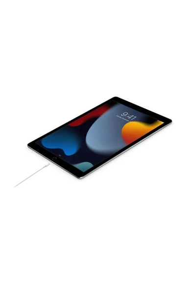Apple (USB-C) To Lightning Kablo - 1M MUQ93ZM/A - Resim 2