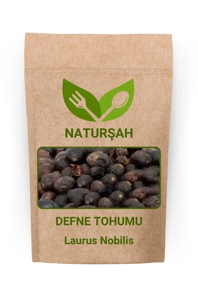 Naturşah Defne Tohumu 1 Kg / Laurus Nobilis ürün görseli 1