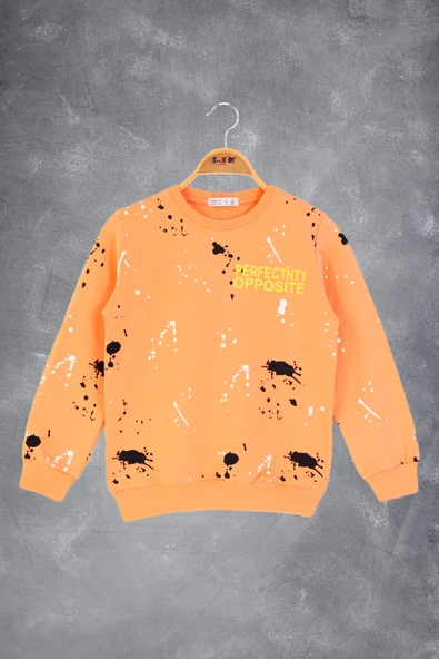 Toontoy Erkek Çocuk Baskılı Sweatshirt ürün görseli 1