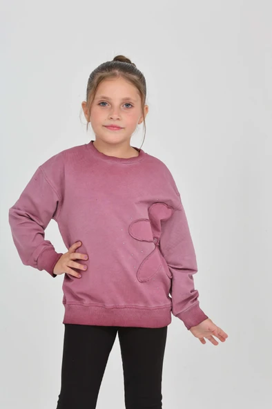 Toontoy Kız Çocuk Çiçek Nakışlı Sweatshirt ürün görseli 1