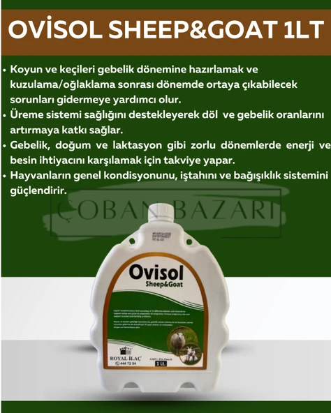Royal İlaç Royal Ovisol Sheep&goat Koyun ve Keçi Yem Katkısı 1 Lt ürün görseli 1