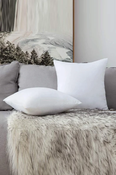 Varol 2li 350gr Silikon Dolgulu Kırlent 45x45cm ürün görseli 1