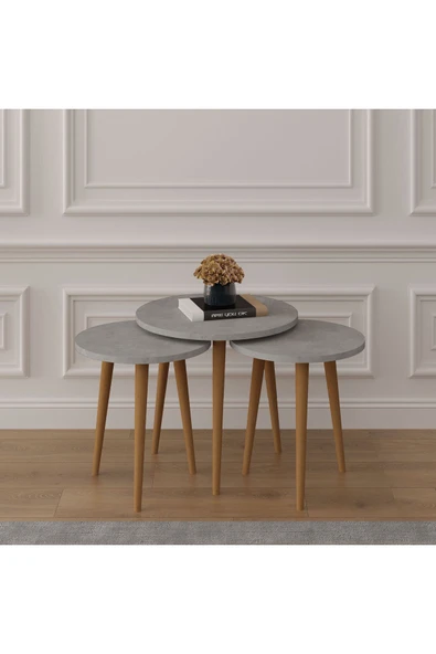 Lüks 3'lü Ahşap Ayaklı Zigon Sehpa %100 MDF Orta Sehpa Masa SEHPA01  RETRO GRİ ürün görseli 1