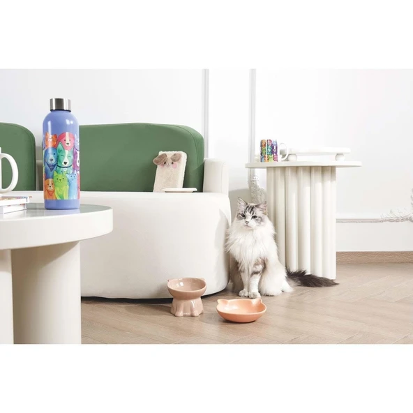 M-Pets Petjoy Seramik Mama Kabı 200ml - Resim 4