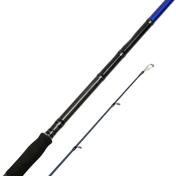 Bauer Risco SGS6 290cm 30-70gr Shore Jigging Kamışı - Resim 2
