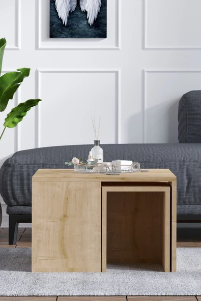 Decormet Ortanca Sehpa Safir Meşe ürün görseli 1