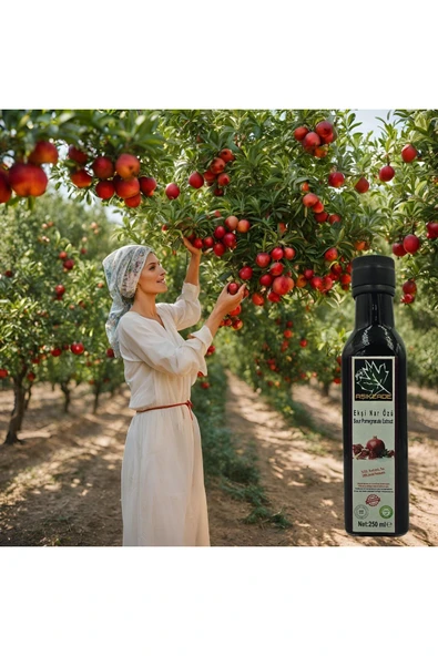 Aşıkzade Ekşi Nar Özü 250ml 340g - Resim 2