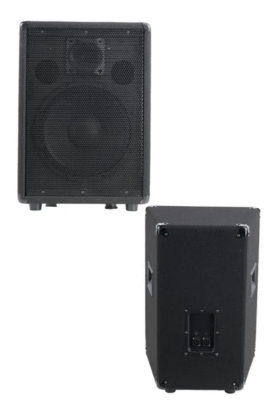 Lastvoice LPM-10 Ahşap Profesyonel Kabin Hoparlör 10 inç 450W ürün görseli 1