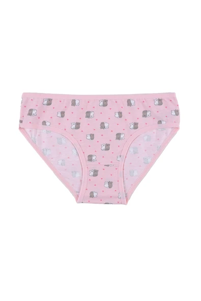 Kız Çocuk 6'lı Desenli Slip - Resim 7
