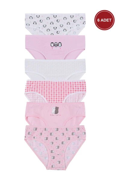 Kız Çocuk 6'lı Desenli Slip ürün görseli 1