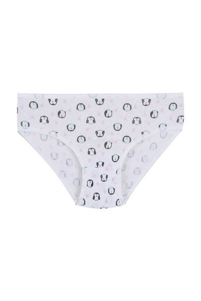 Kız Çocuk 6'lı Desenli Slip - Resim 3