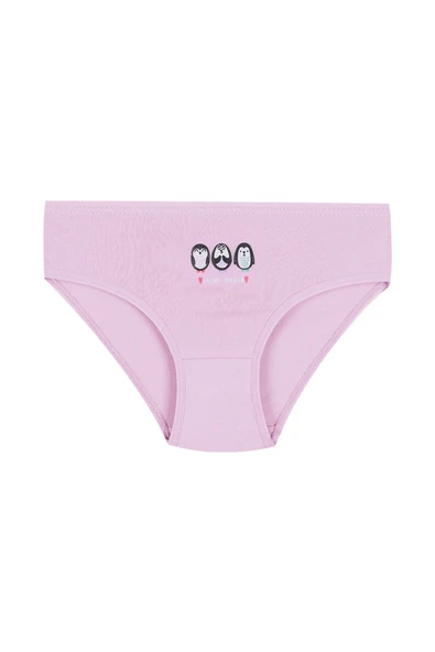 Kız Çocuk 6'lı Desenli Slip - Resim 5