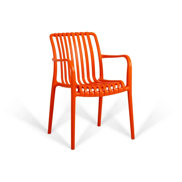 Paris Lüks Sandalye 2'li Set - Resim 3