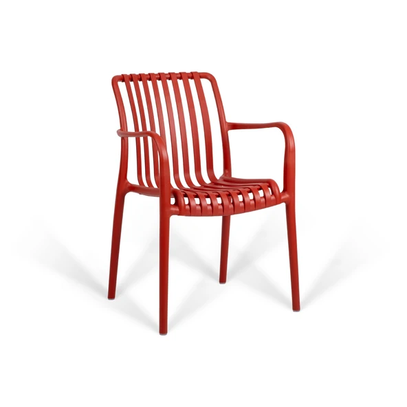 Paris Lüks Sandalye 2'li Set - Resim 5
