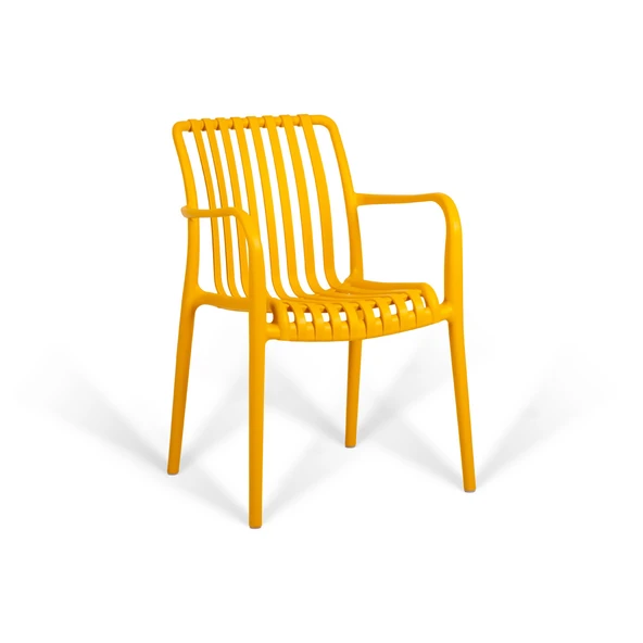 Paris Lüks Sandalye 2'li Set - Resim 6