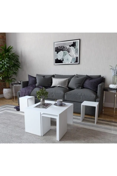 Decormet Ortanca Sehpa Beyaz - Resim 2