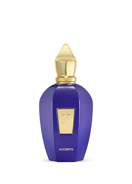 Xerjoff Accento 100ml ürün görseli 1