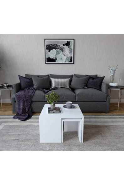 Decormet Ortanca Sehpa Beyaz - Resim 6