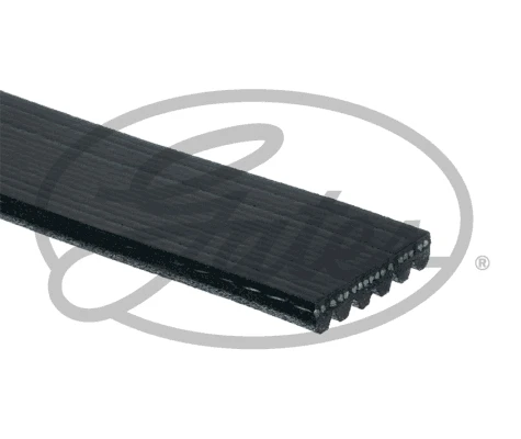 KANALLI KAYIŞ CILO-KNG 1.9 DZL 68397 ürün görseli 1