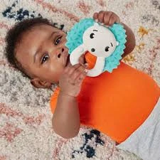 Fisher Price Eğlenceli Dostlar Dişlik ve Çıngıraklar Hold and Jingle Hedgehog HKD72 ürün görseli 1