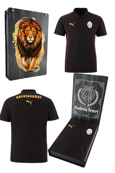 Galatasaray Orijinal Lisanslı A-Takım  UV Kutulu Polo Yaka Siyah T-Shirt ürün görseli 1