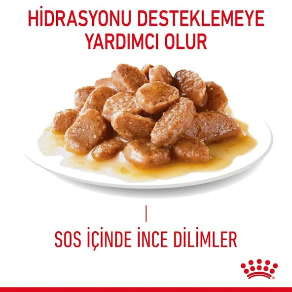 Royal Canın Dıgestıve Sensıtıve 85 Gr - Resim 5