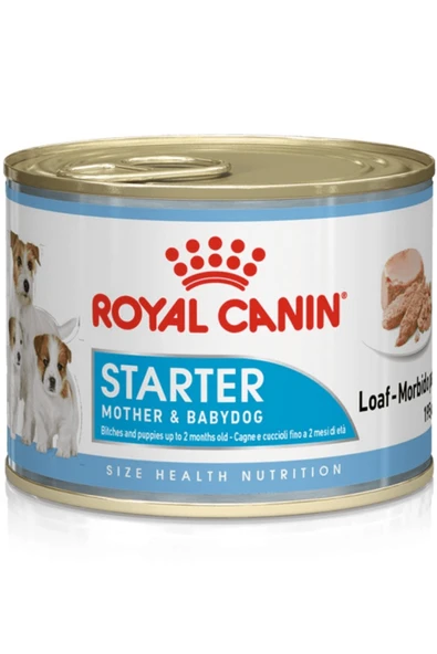 Royal Canin Starter Mousse Yavru Köpek Konservesi 195 Gr ürün görseli 1
