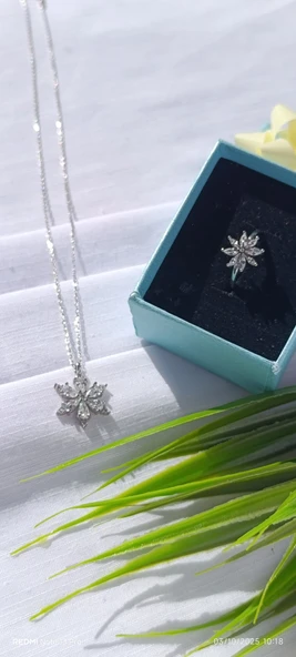 ÇOK YAPRAKLI LOTUS ÇİÇEĞİ - Resim 8
