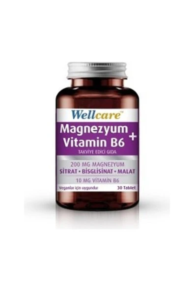 Wellcare Magnezyum + Vitamin B6 30 Tablet ürün görseli 1