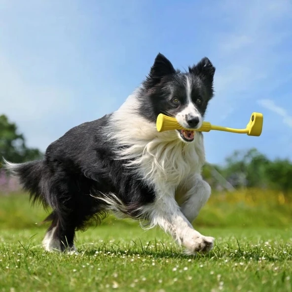 Insta360 GO 3 Fetch Stick ürün görseli 1