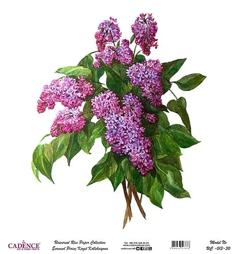 Cadence Evrensel Pirinç Dekopaj Kağıdı - UC-013 ürün görseli 1