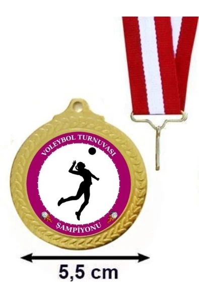 Voleybol Turnuvası Madalyası - Turnuva Madalyası ( 24 Adet ) ürün görseli 1