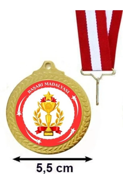 Başarı Madalyası ( 24 Adet ) ürün görseli 1