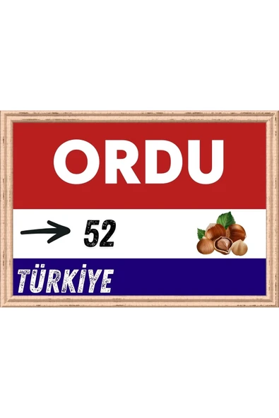 Ordu Tablo - Retro Tablo ürün görseli 1