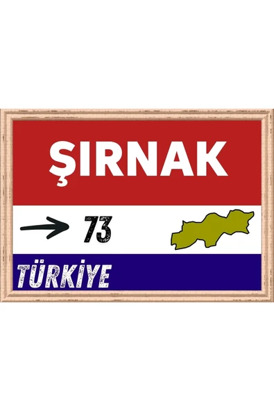 Şırnak Tablo - Retro Tablo ürün görseli 1