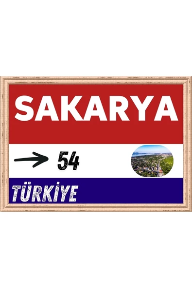 Sakarya Tablo - Retro Tablo ürün görseli 1