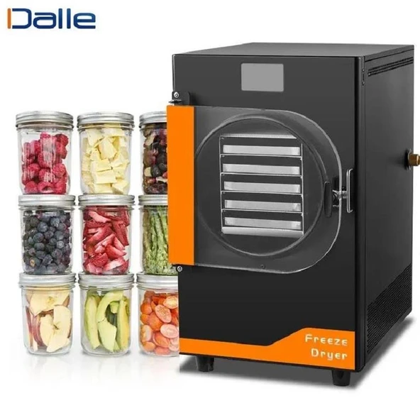 Dalle DFD-10 Yüksek Teknolojili Freeze Dryer Dondurarak Kurutma Fırını - Liyofilizatör ürün görseli 1