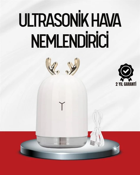 El Tipi USB Mini Soğuk Mist Nemlendirici 220 ml Tank ürün görseli 1
