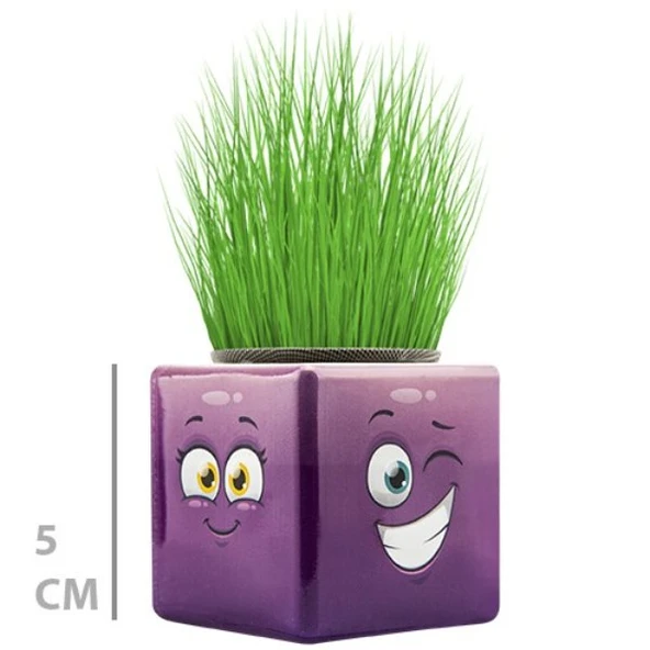 Çim Adam Mini Küp Emoji Figürlü 1 Adet - Resim 2