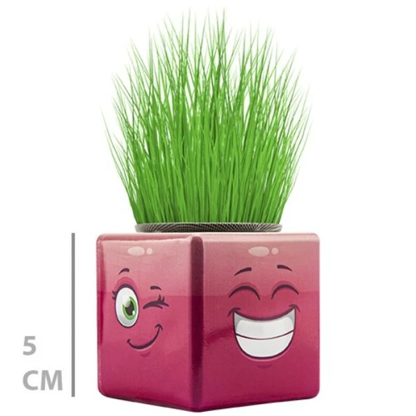 Çim Adam Mini Küp Emoji Figürlü 1 Adet - Resim 3