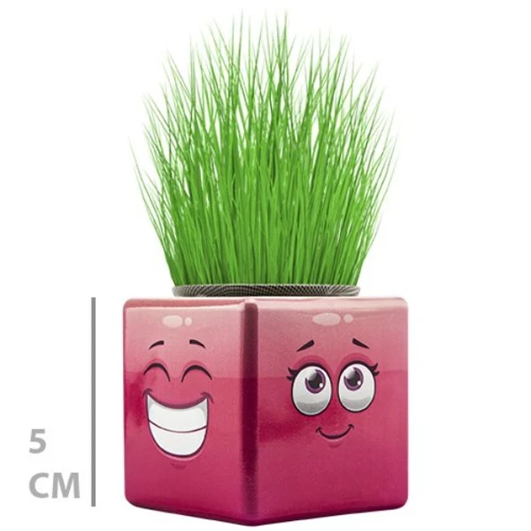 Çim Adam Mini Küp Emoji Figürlü 1 Adet - Resim 4