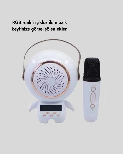 TK-66 KARAOKE SPEAKER - Resim 4