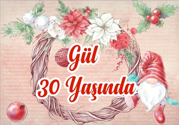 Yılbaşı Temalı Doğum Günü Afişi - 50x70 Cm ürün görseli 1