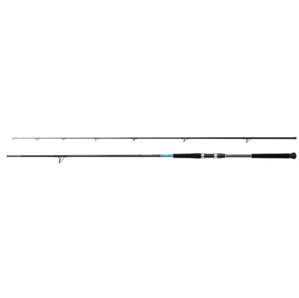 Shimano Kamış Bassterra XT Shore Jigging 9'6" 20-80g ürün görseli 1