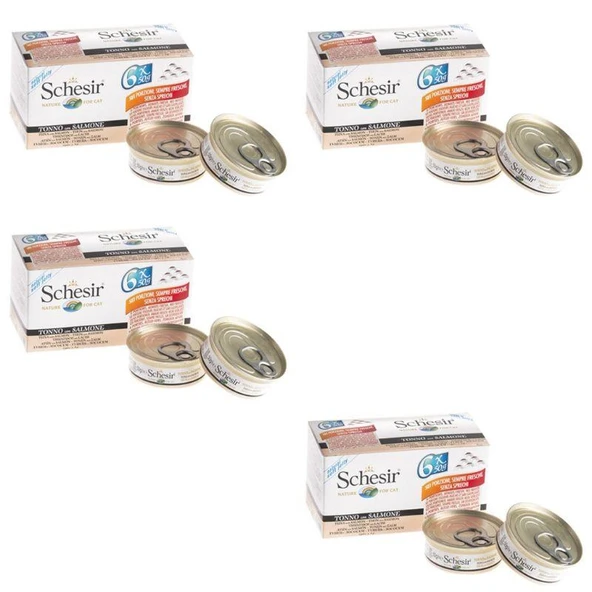 Schesir Ton Balıklı Somonlu Jöleli Konservesi 50 Gr 6 Al 5 Öde X 4 Adet ürün görseli 1