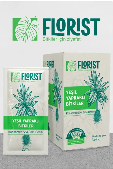 Florist yeşil bitkiler besini ürün görseli 1