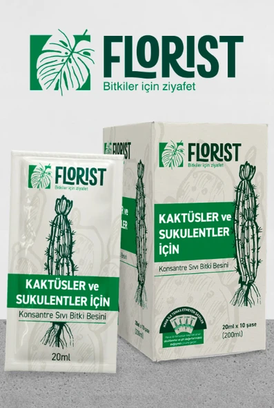 Florist kaktüs ve sukulentler besini ürün görseli 1