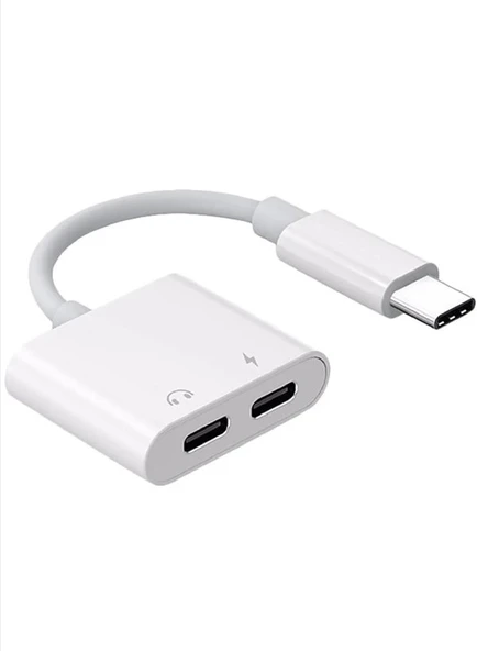 ZR293 Ftac42 Type-C 2 İn 1 Converter Adaptör ürün görseli 1