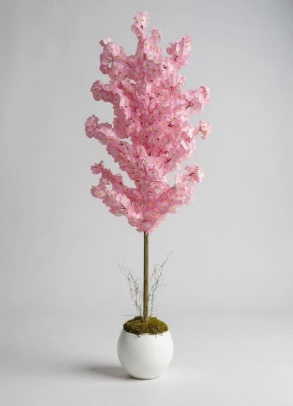 Yapay Ağaç Japon Kiraz Çiçeği Bahardalı Ağacı Beyaz Küre Saksıda Pembe Koyu Renkli 160cm ürün görseli 1