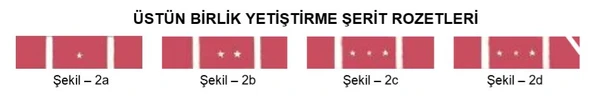 Üstün Birlik Yetiştirme Şerit Rozeti - Resim 2